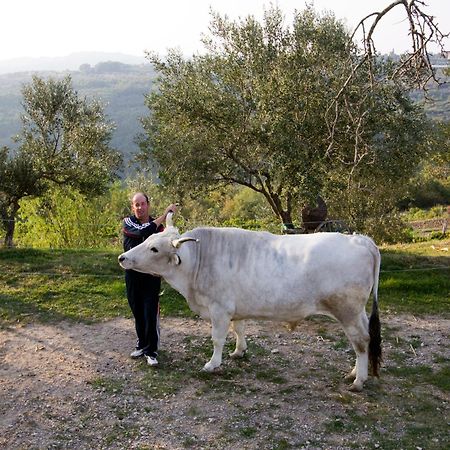Tourist Farm Robivera Šmarje المظهر الخارجي الصورة