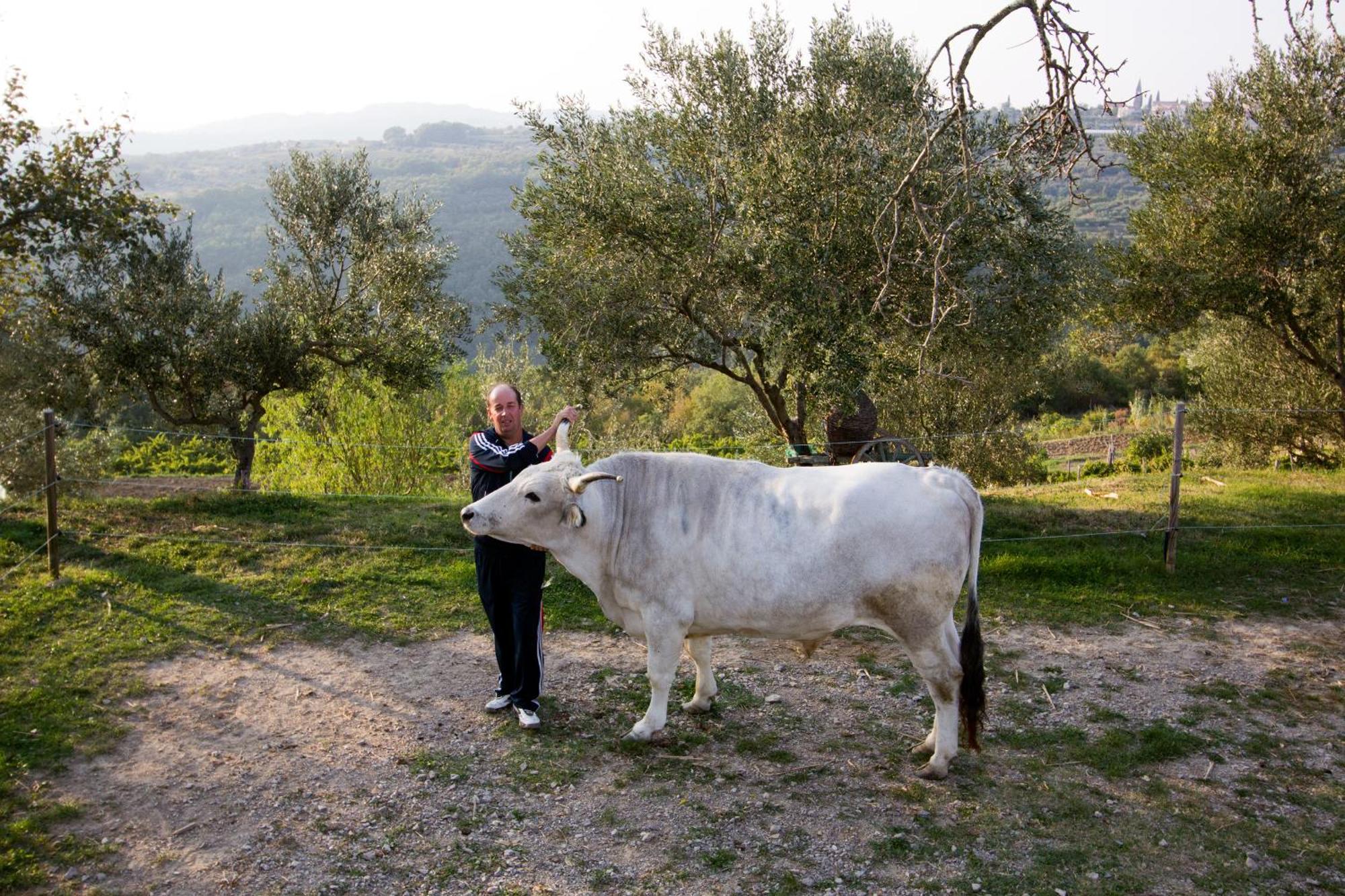 Tourist Farm Robivera Šmarje المظهر الخارجي الصورة